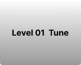 Level 01 Tune