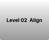 Level 02 Align