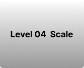 Level 04 Scale